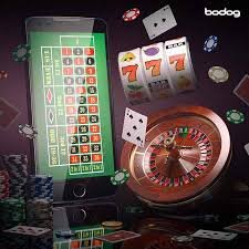 heybaji app টিম ও ব্র্যান্ডের গল্প